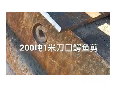 200噸1米刀囗鱷魚剪，1萬(wàn)多塊錢圖5